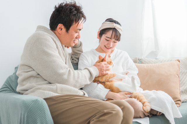 犬猫を飼うこと（将来介護も必要なこと）について家族全員が賛成していますか？また、家族に犬猫に対するアレルギーを持つ人はいませんか？