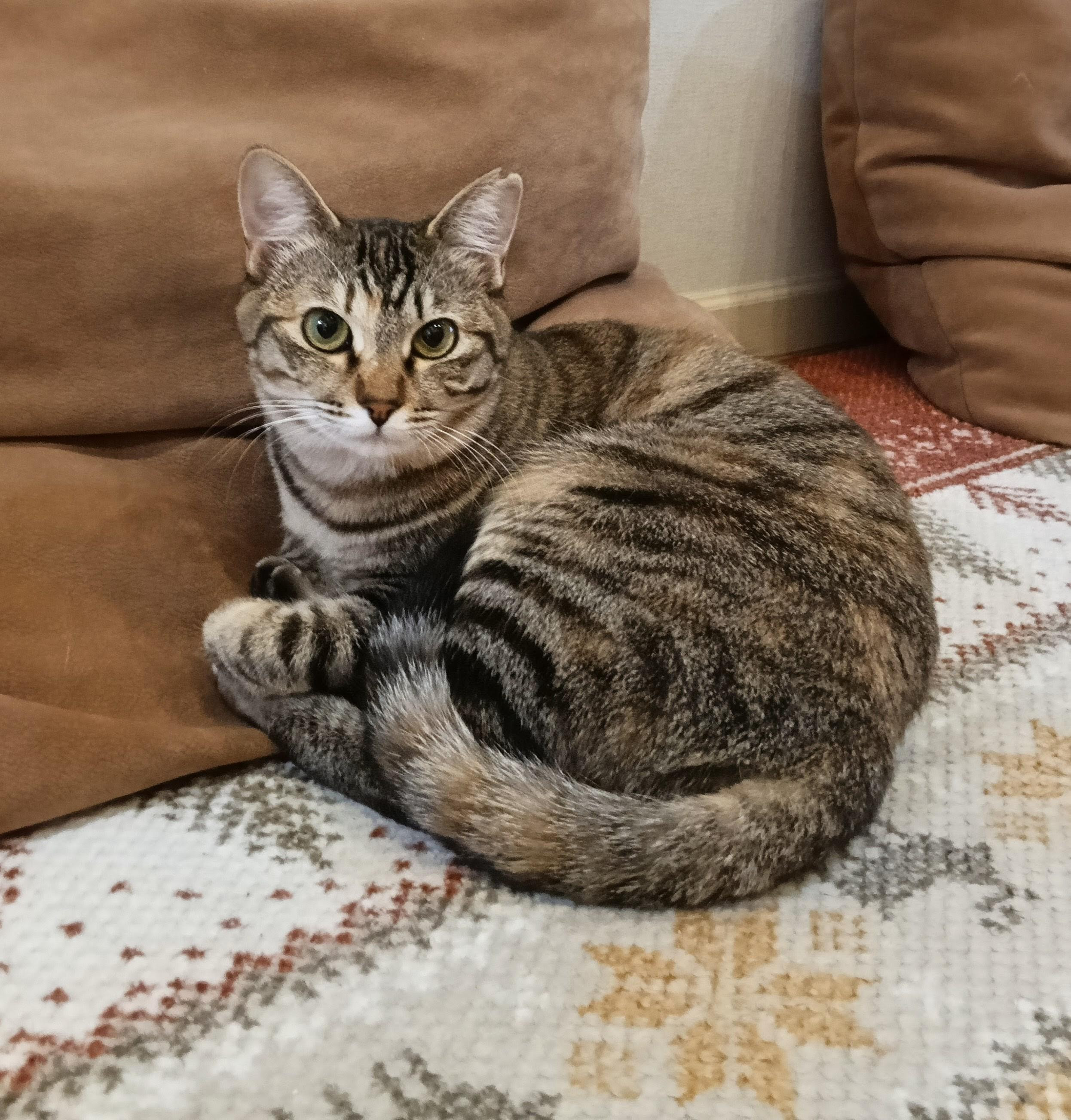 きいちゃん
4...