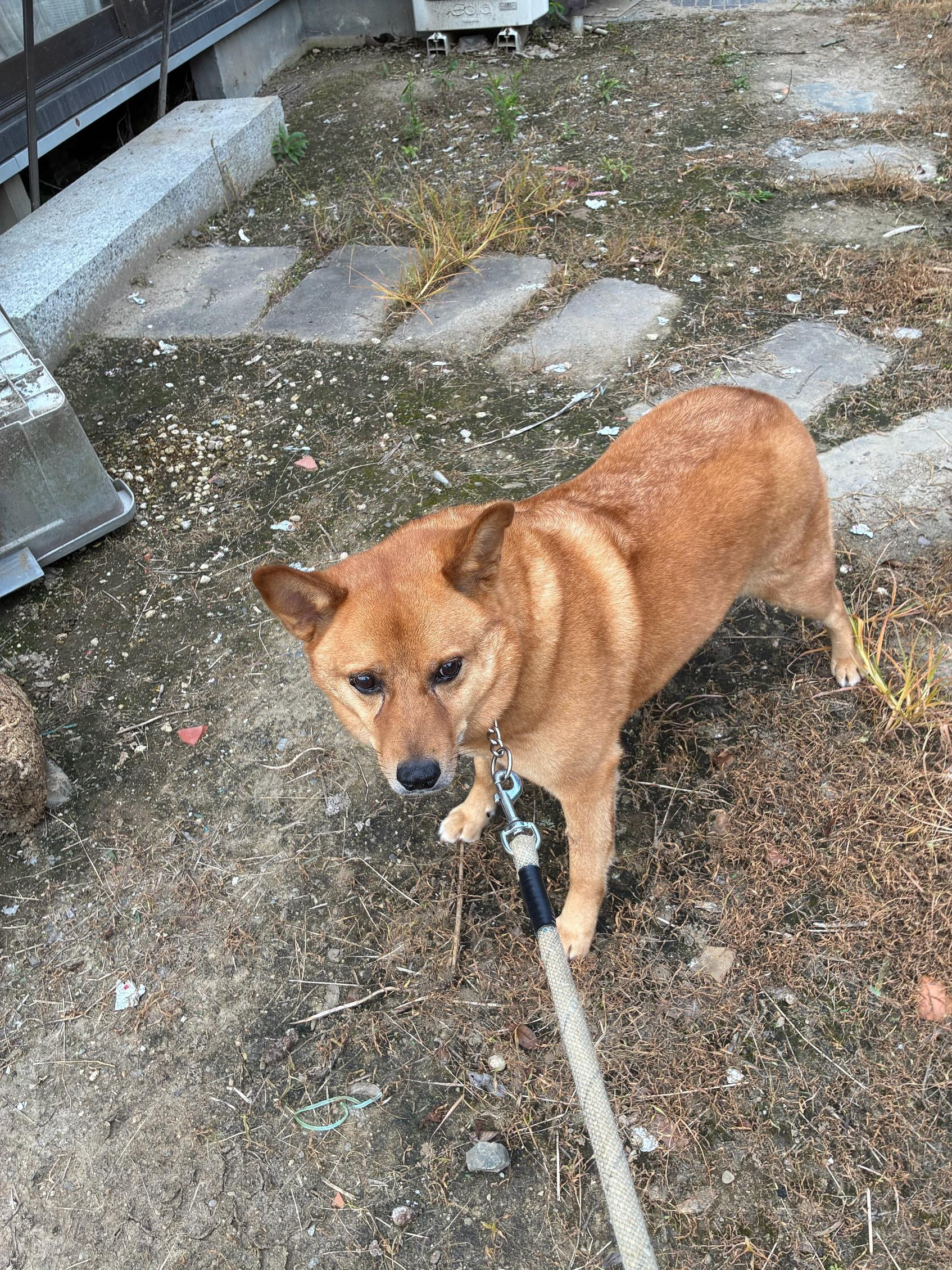動物画像3