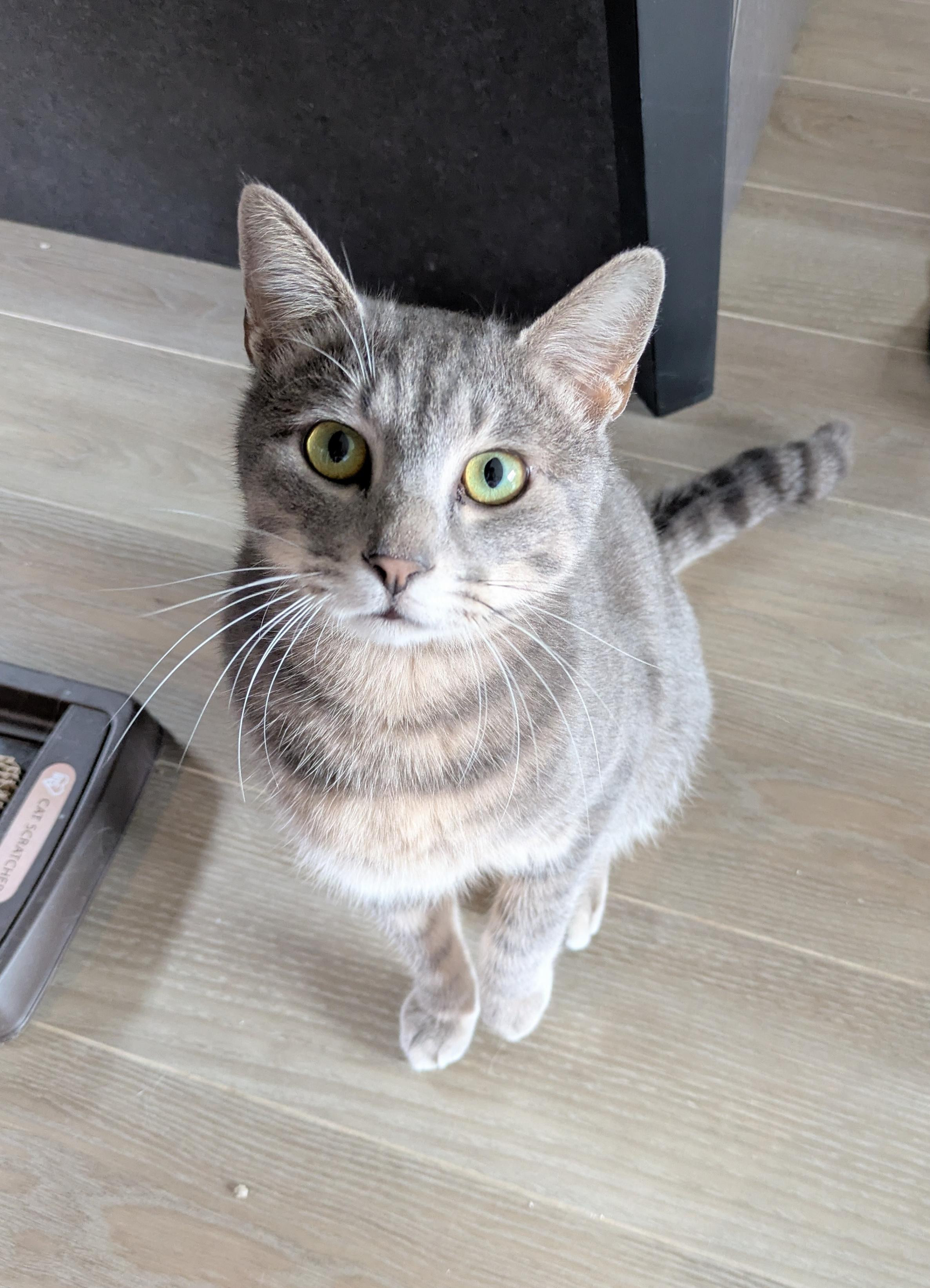 まだ幼さが残る［...