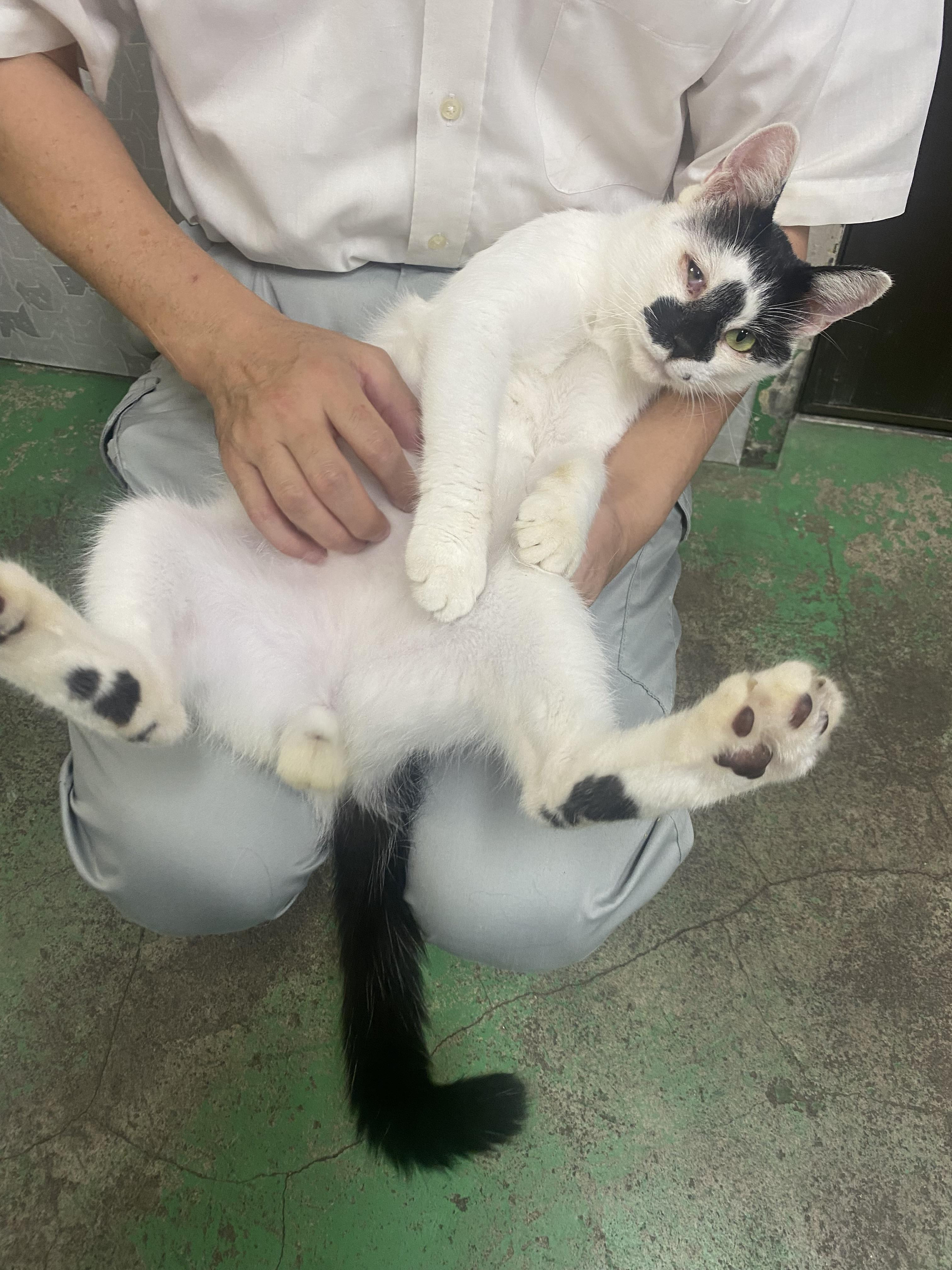 とっても人なつこ...