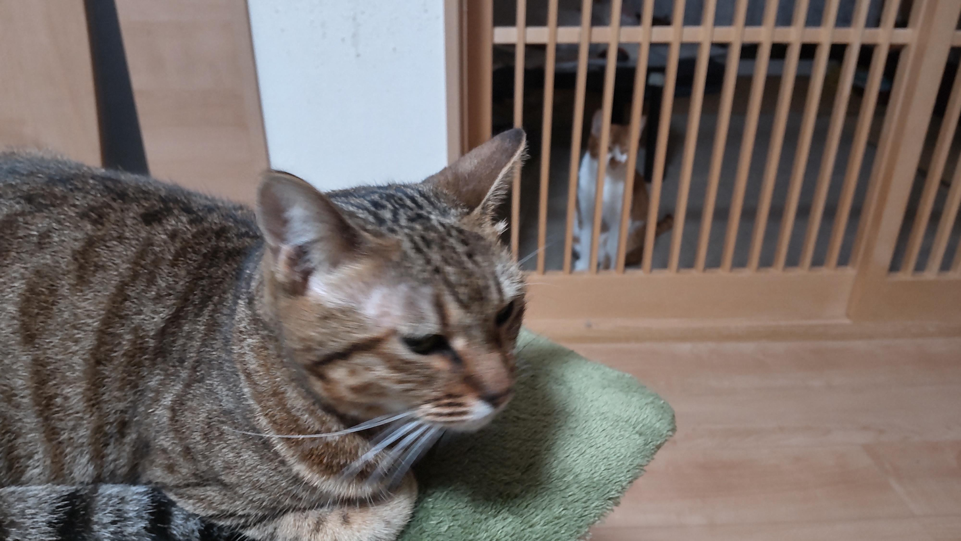 ソラです❗️女の...
