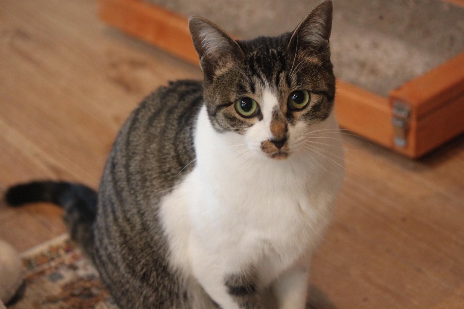 ちょぼ
♀ 推...