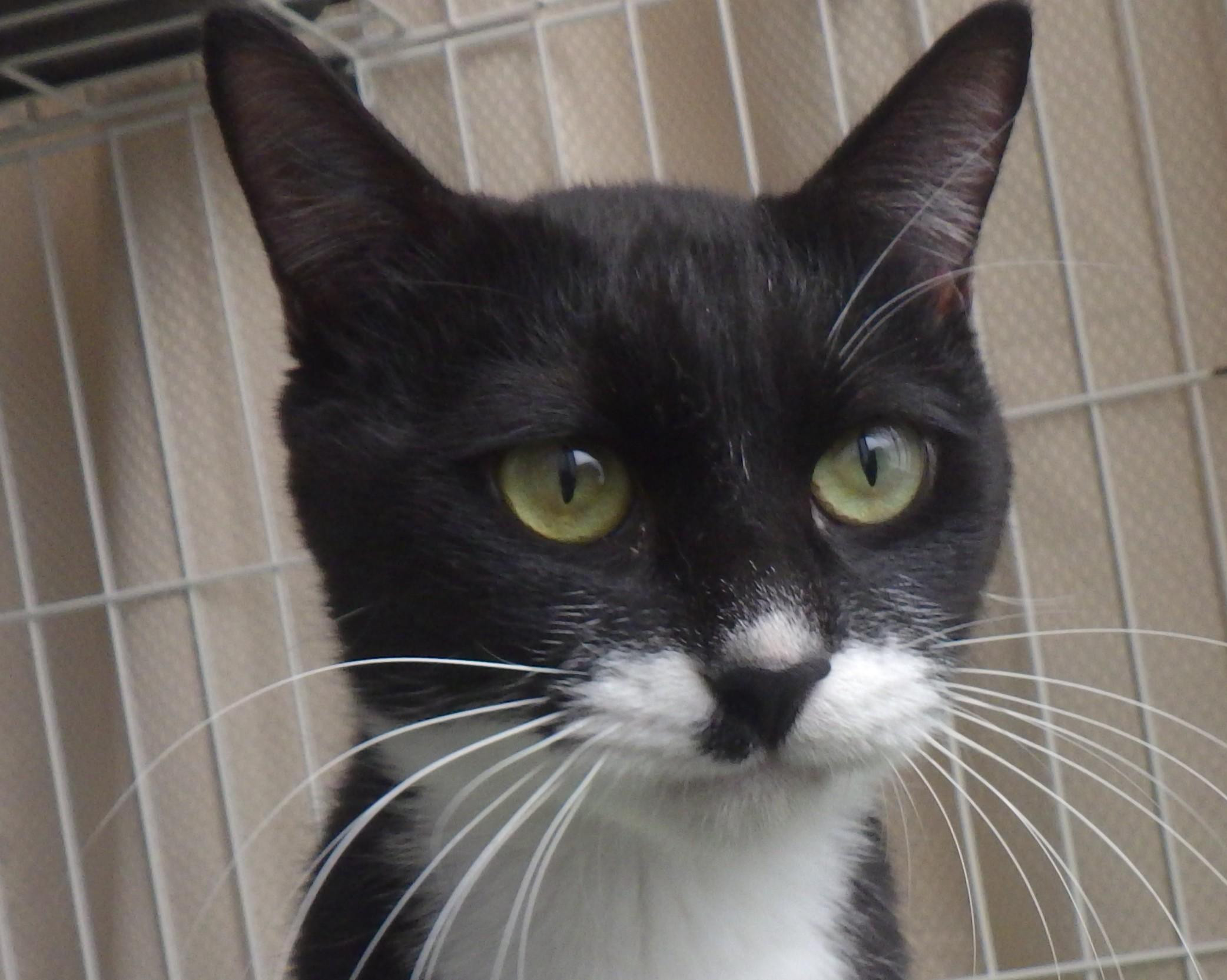 【石巻保健所】...