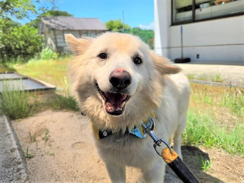 【動物愛護センタ...