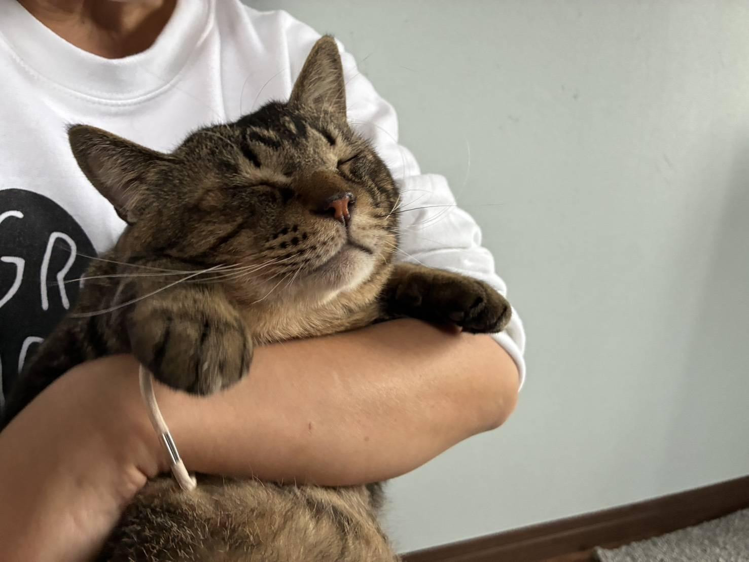 動物画像3