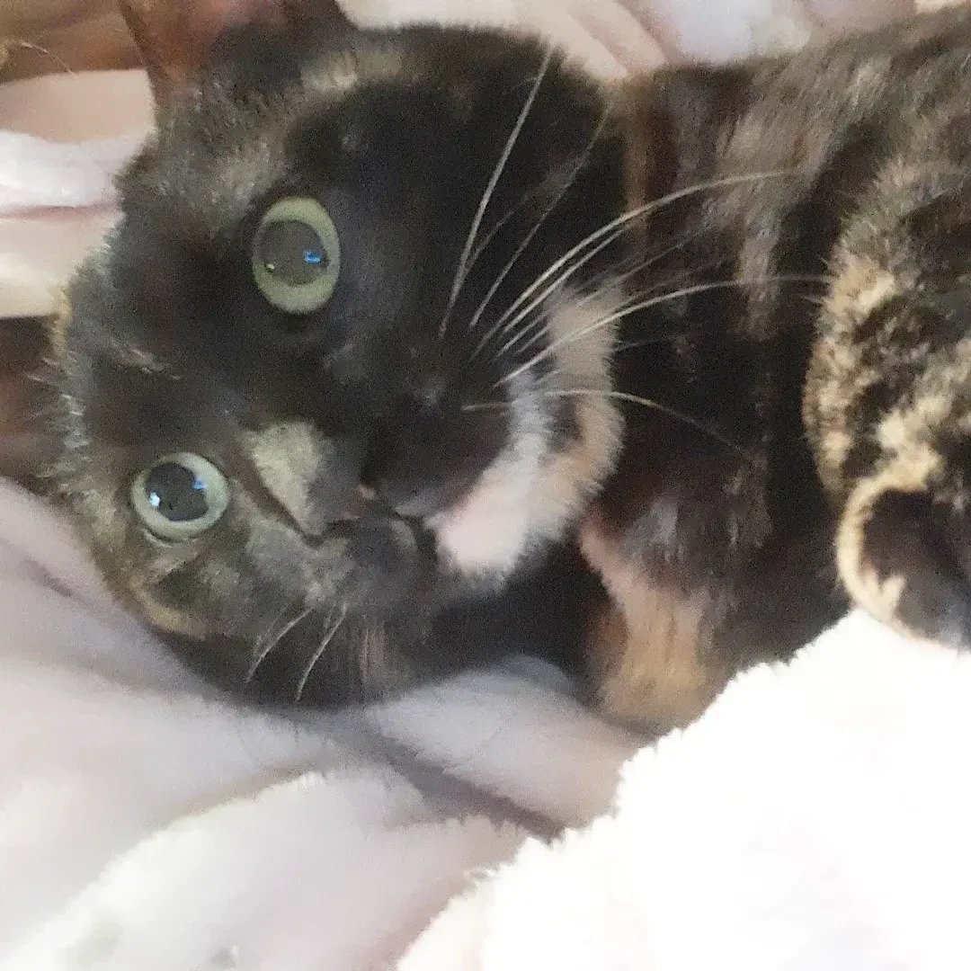 とっても甘えん坊...