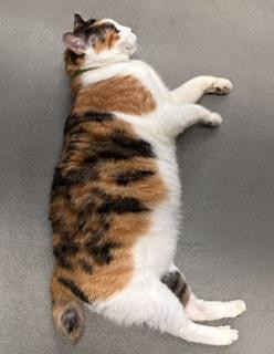 動物画像3