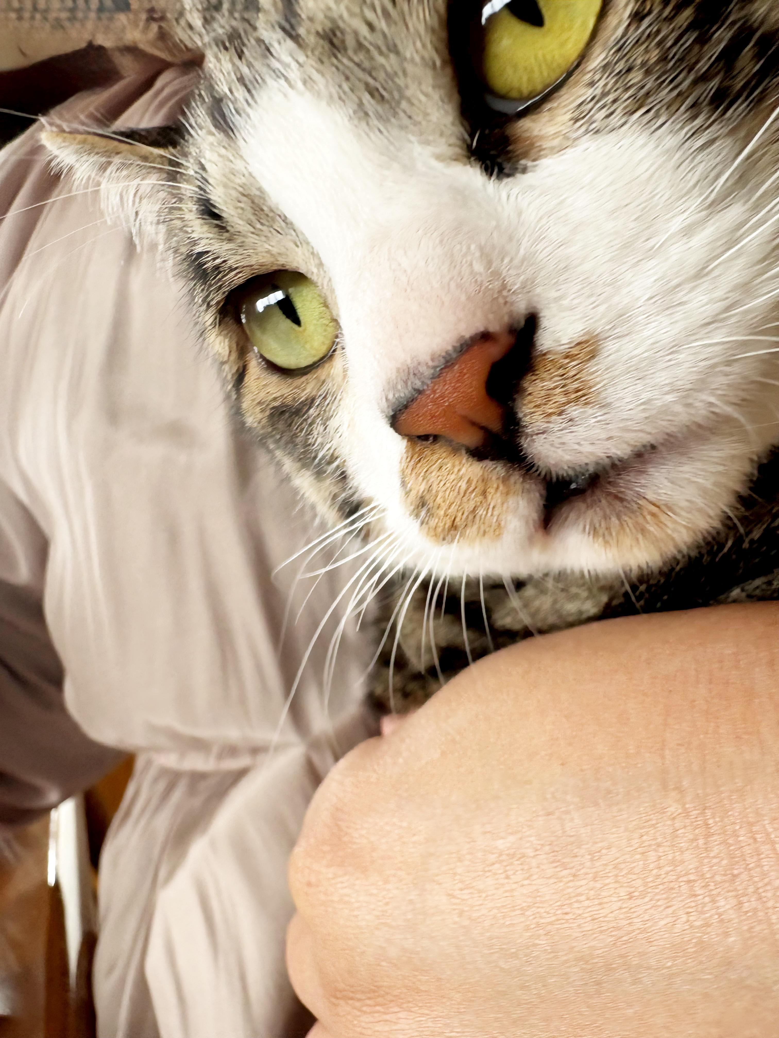 動物画像2