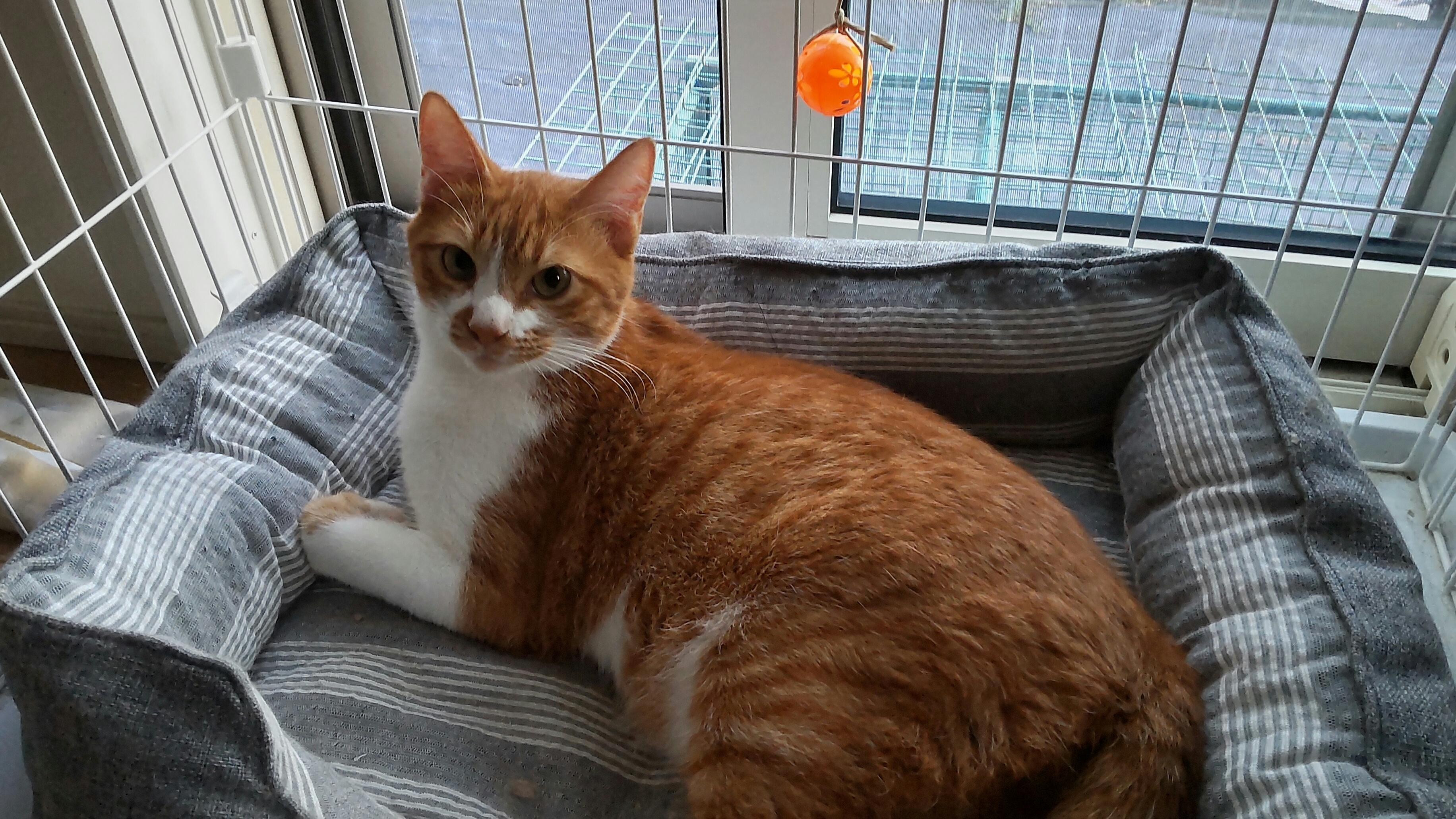 2つの群れで飼育...