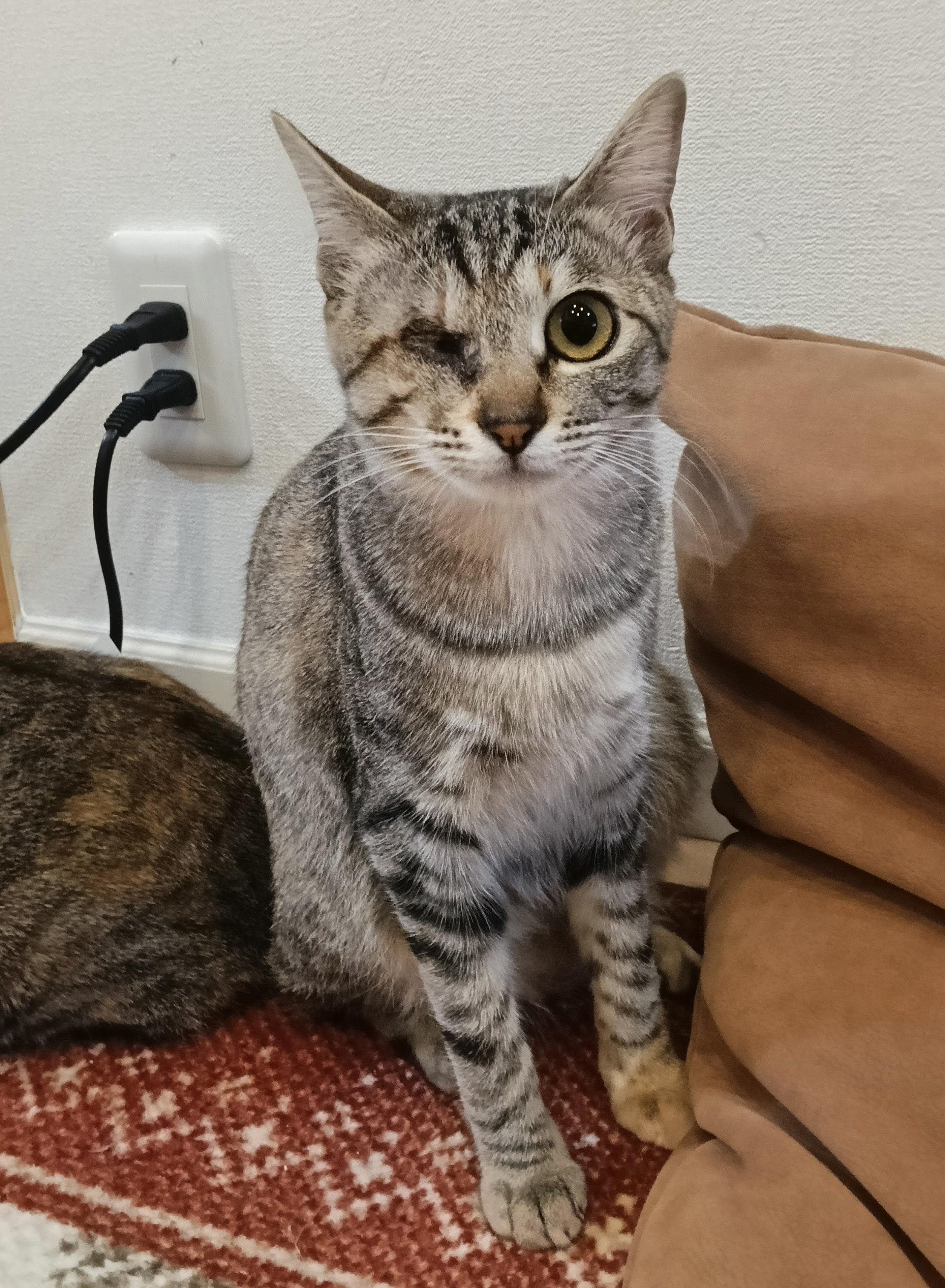 ひぃちゃん
保...