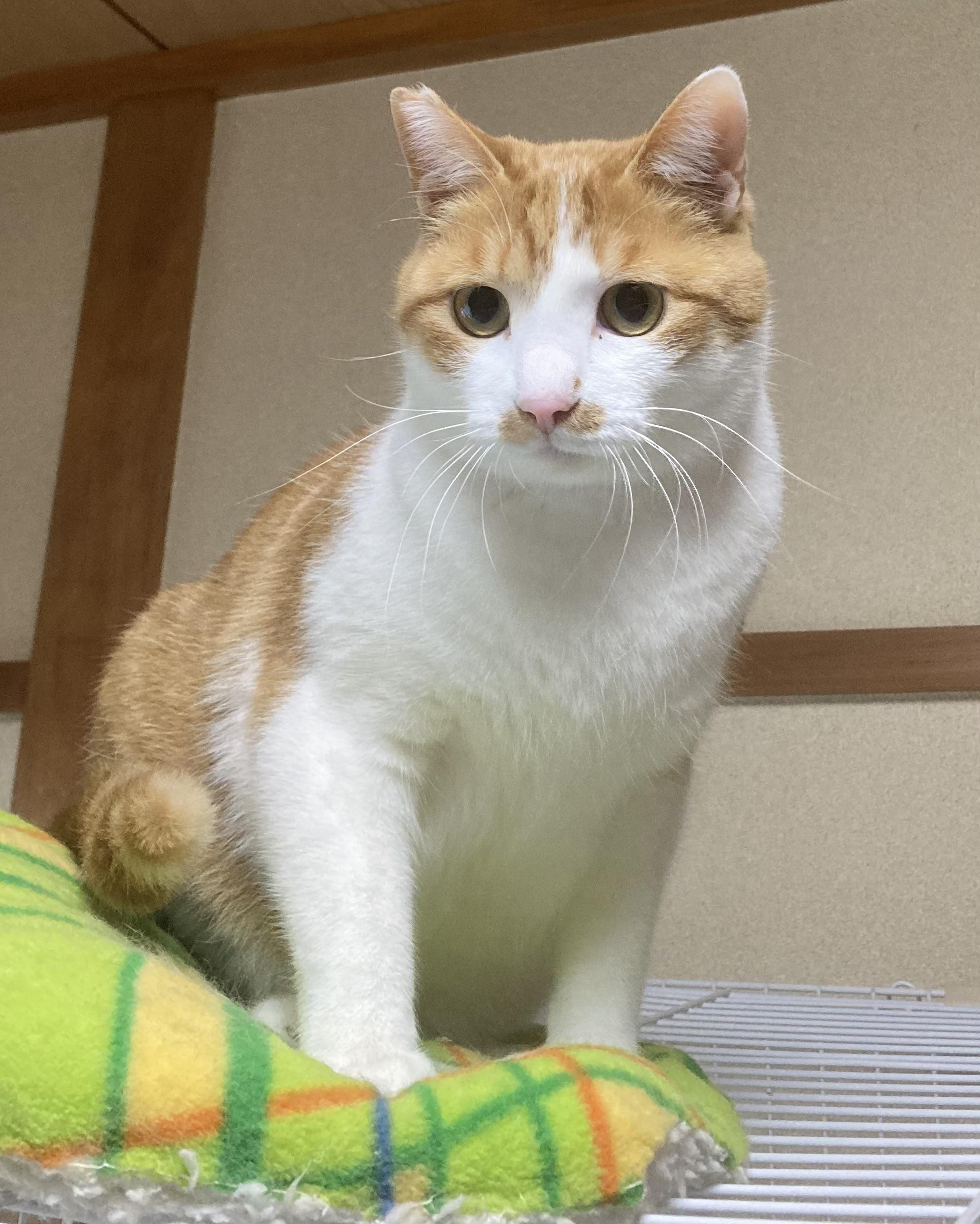 ウパくん（仮名）...