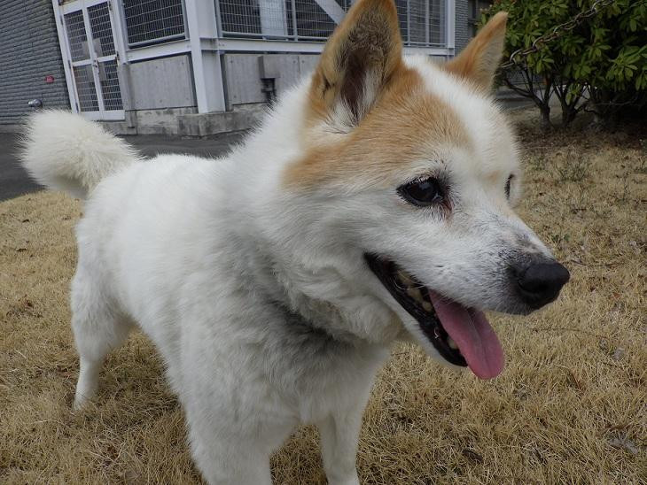 にっこり笑顔で表...