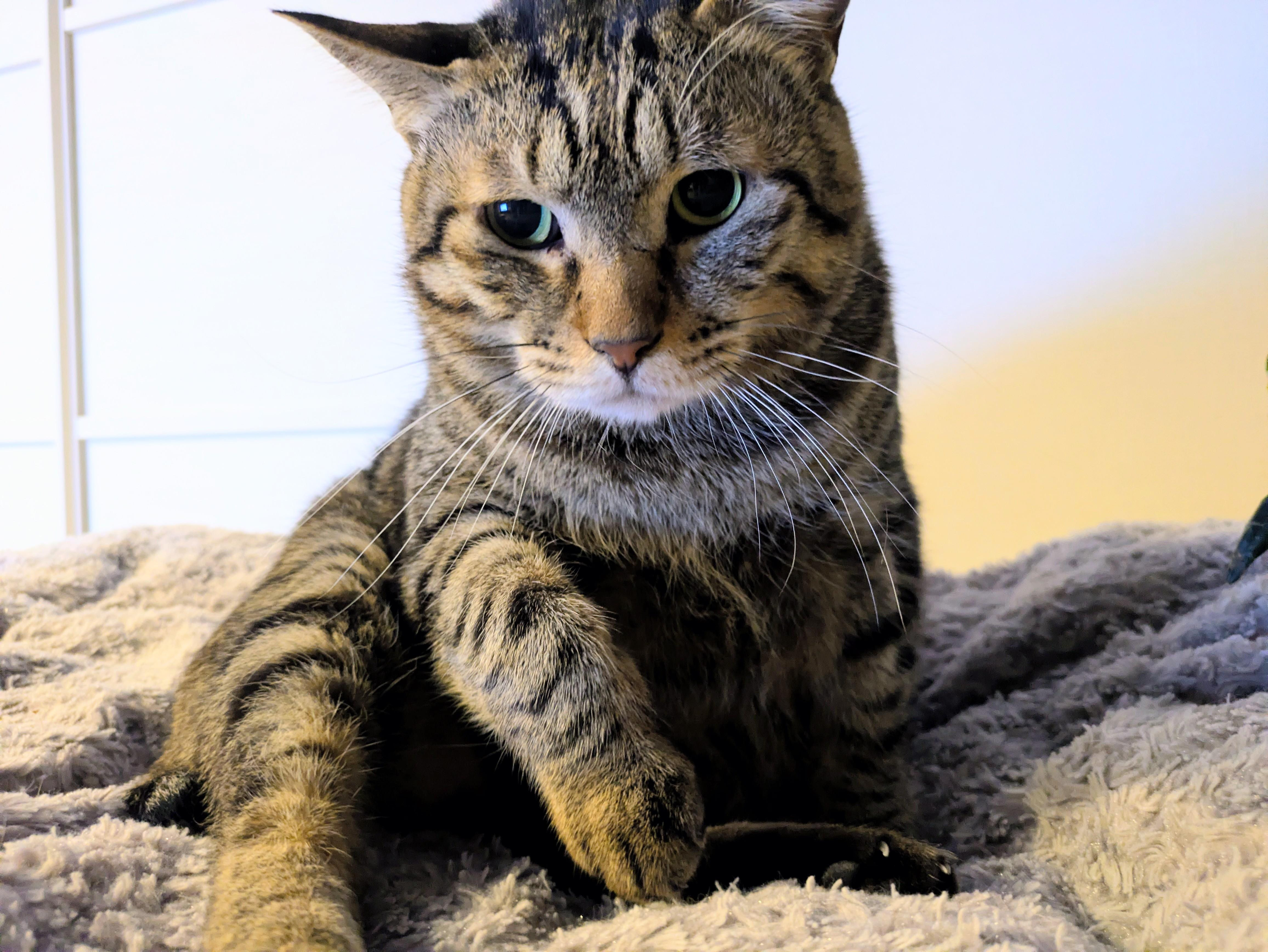 タレ目でまるっと...