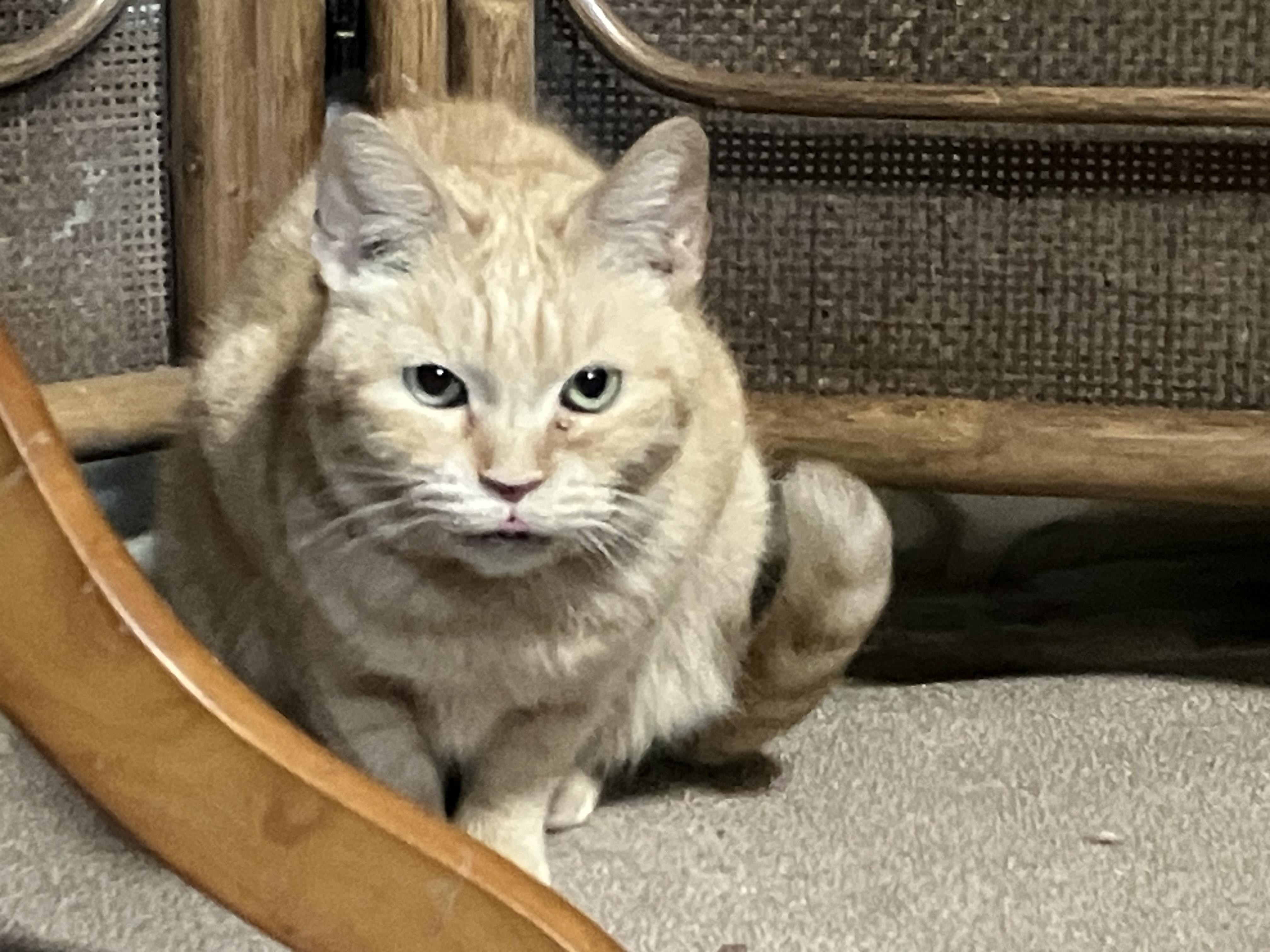 鼻炎が少しありま...