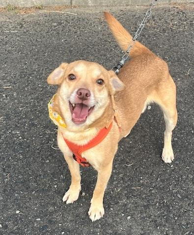 迷子で収容された...