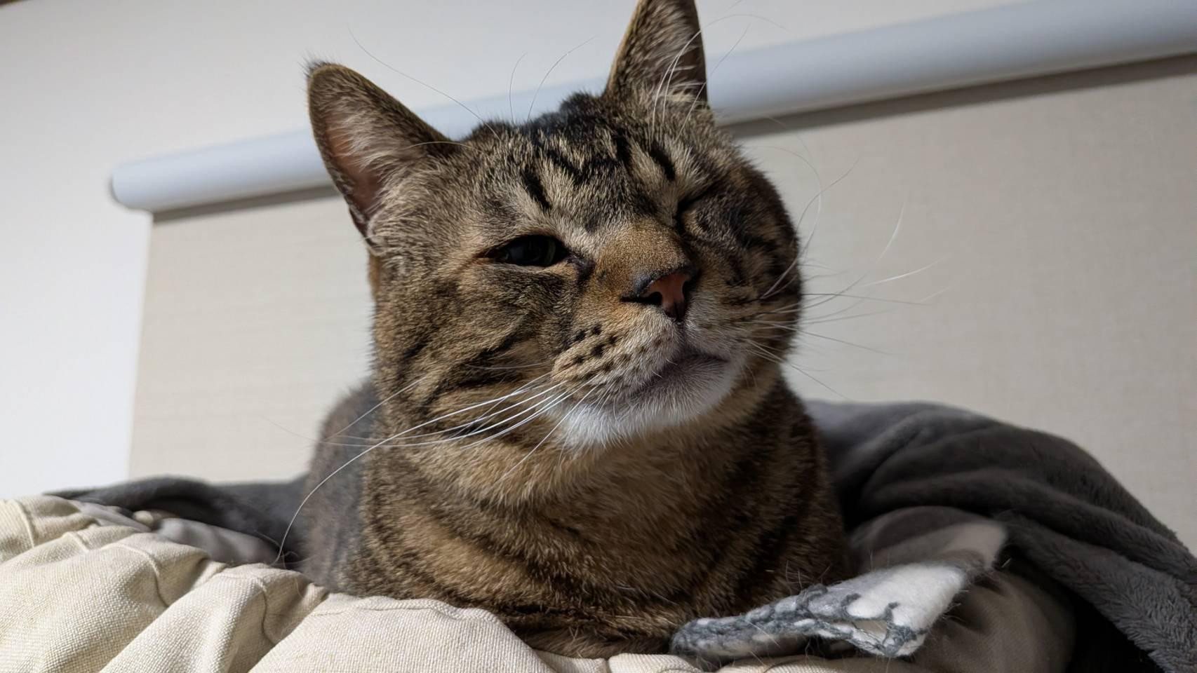 望くん　推定5〜...