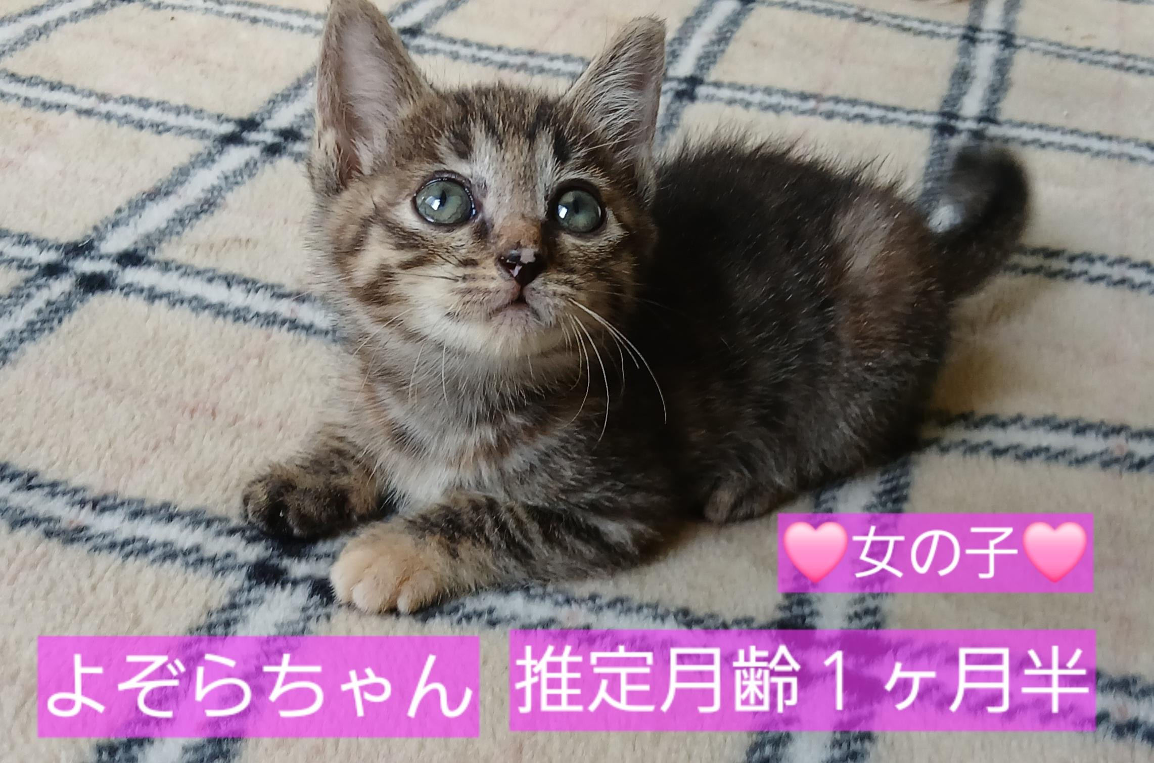 角田市🩷よぞらち...