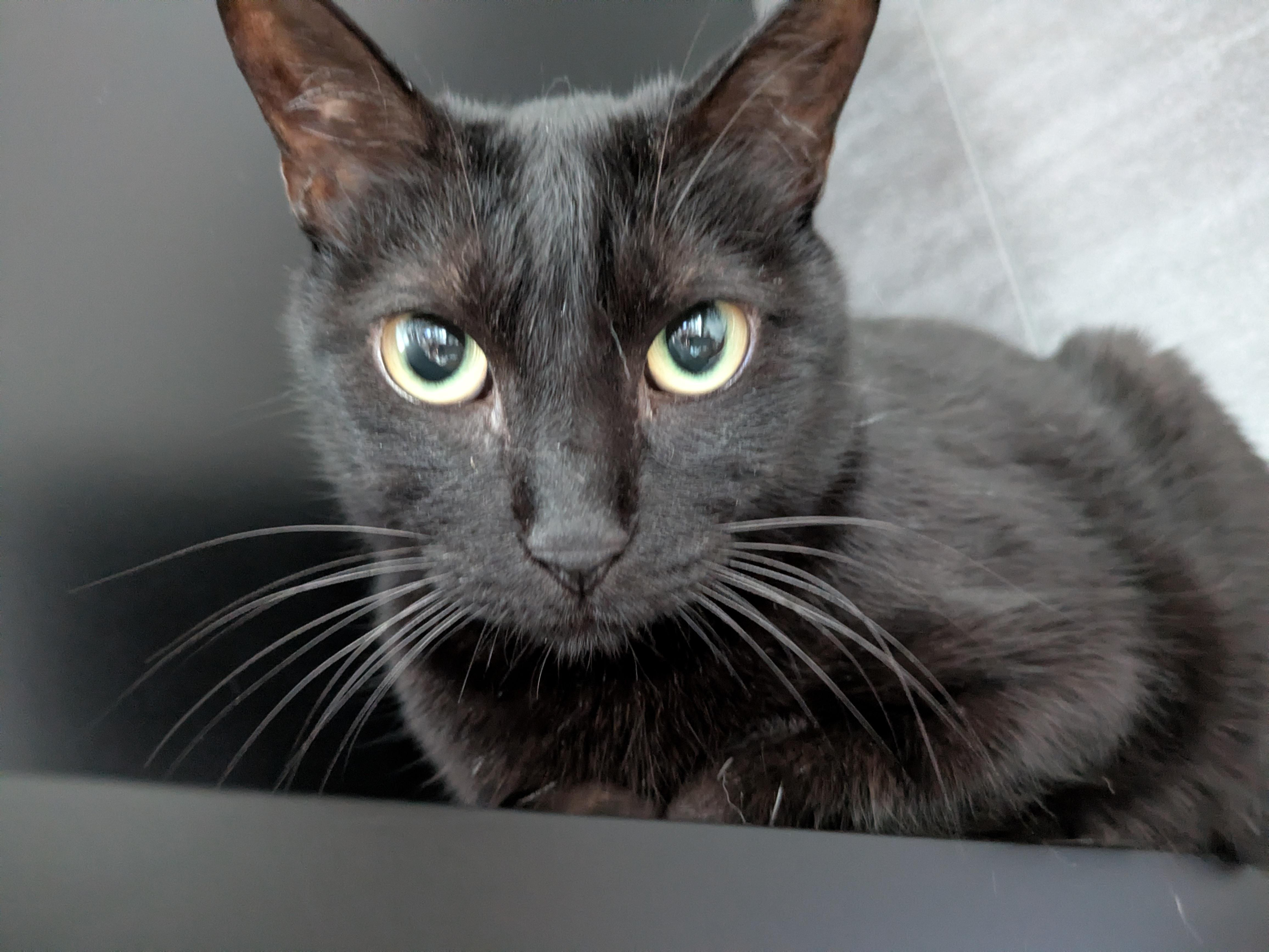 すらっとした鼻筋...