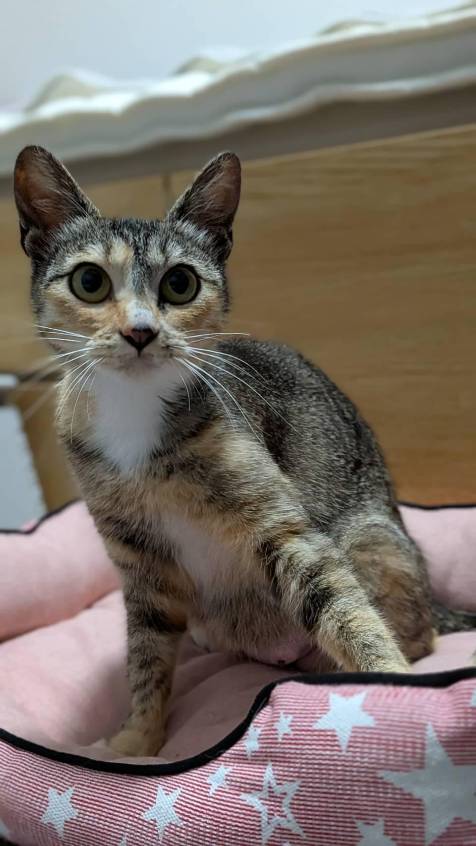 ちーちゃん　１才...