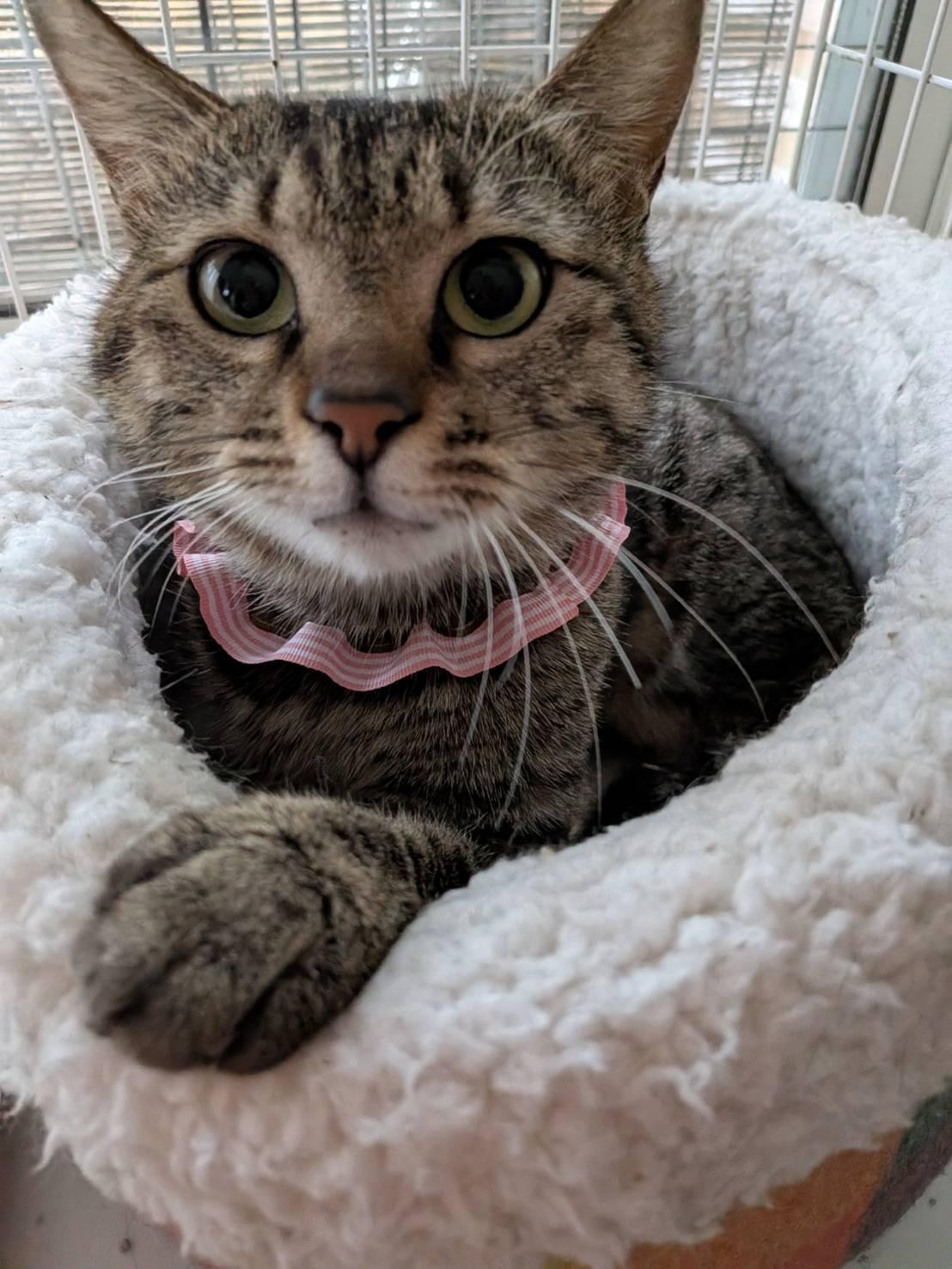 ポポちゃん　10...