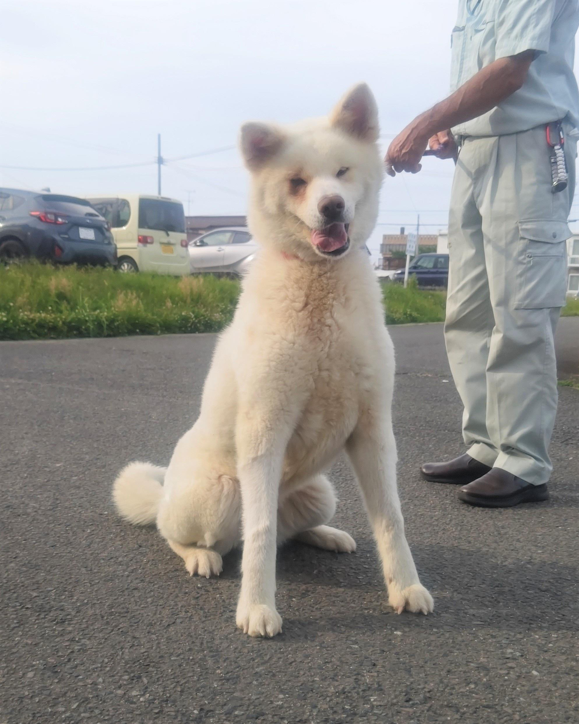 動物画像3