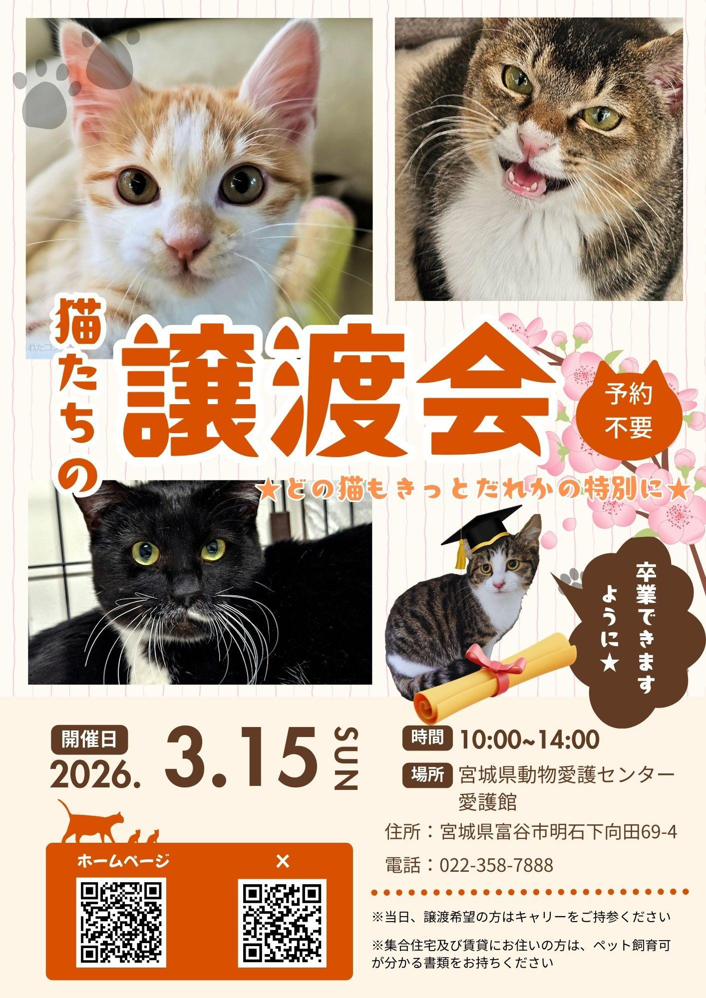 猫たちの譲渡会