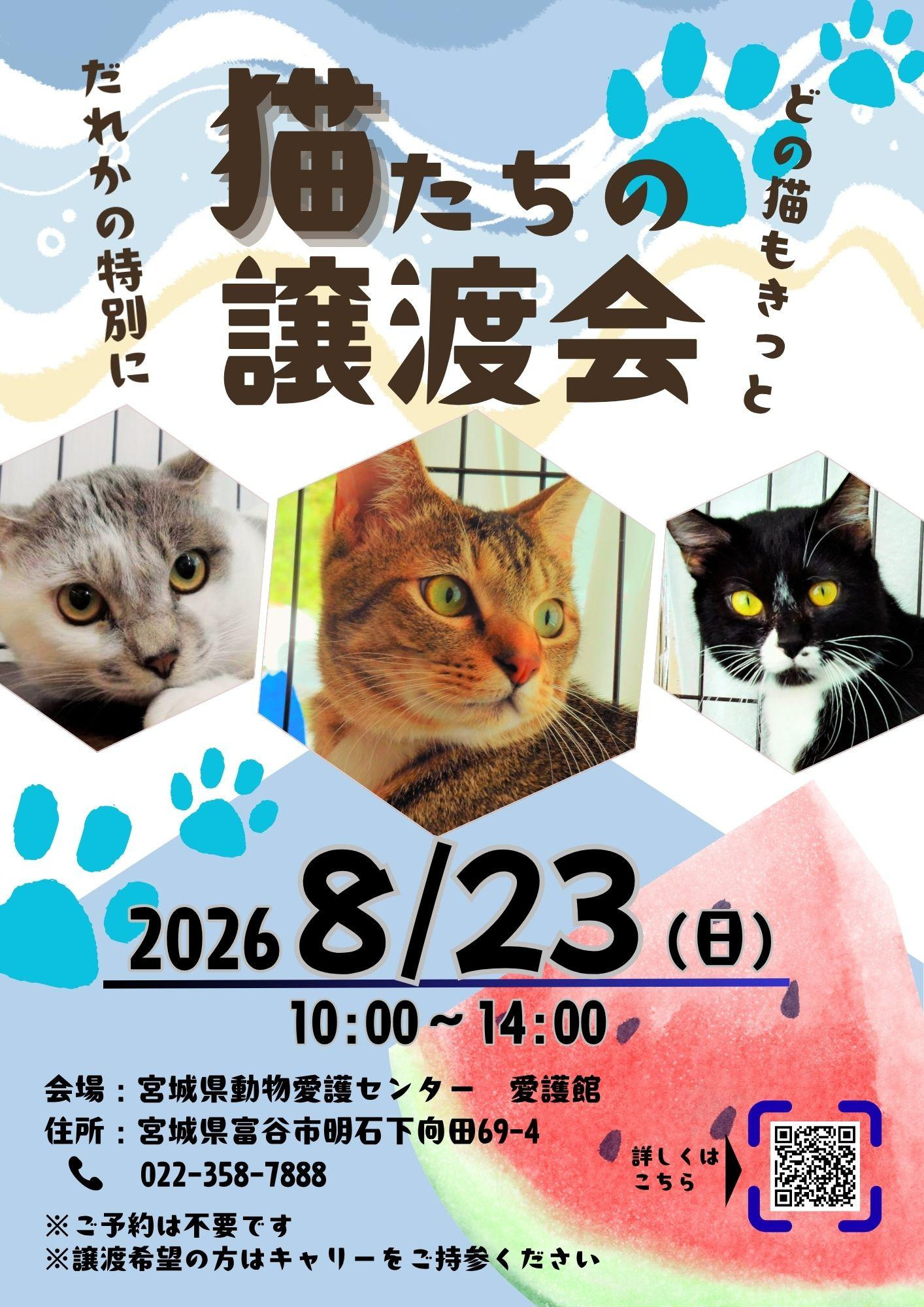 猫たちの譲渡会