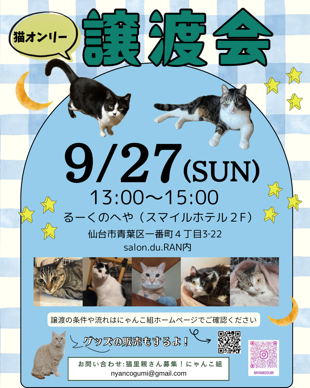 にゃんこの譲渡会