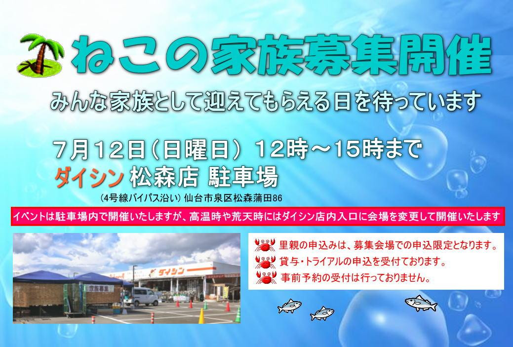 ねこの家族募集