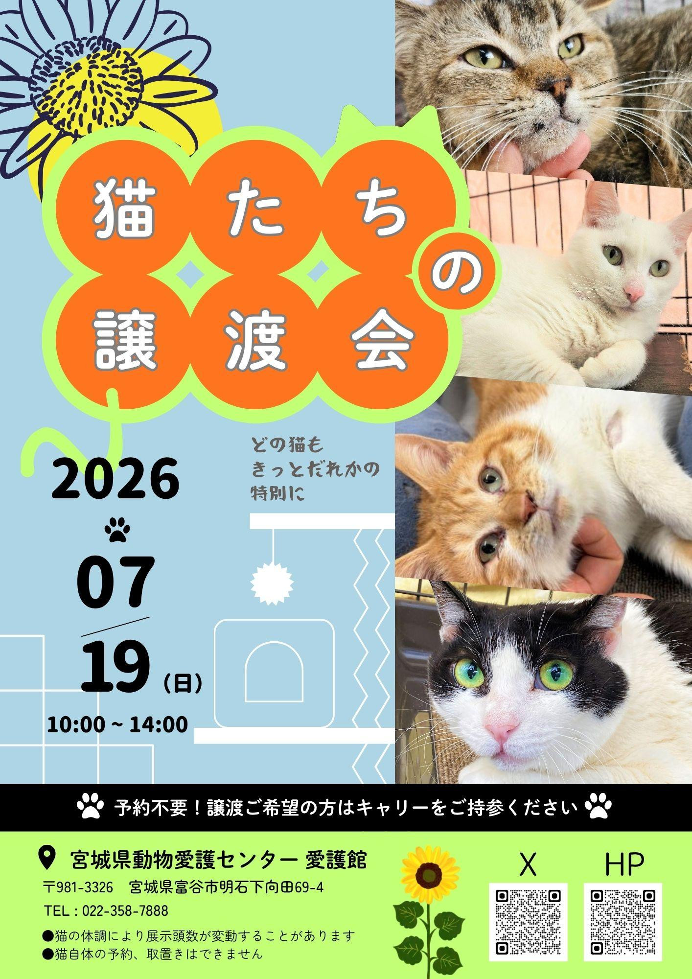 猫たちの譲渡会