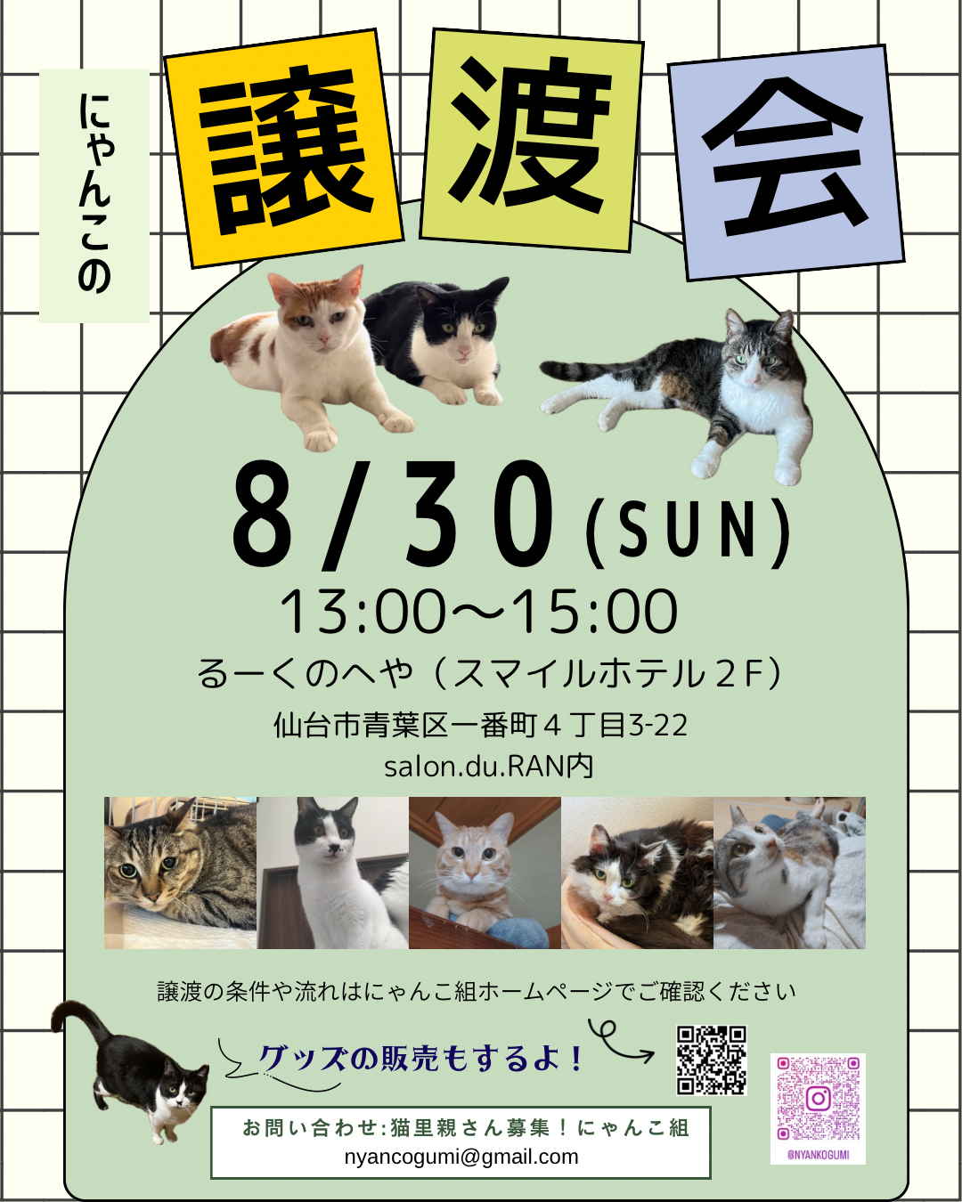 にゃんこの譲渡会