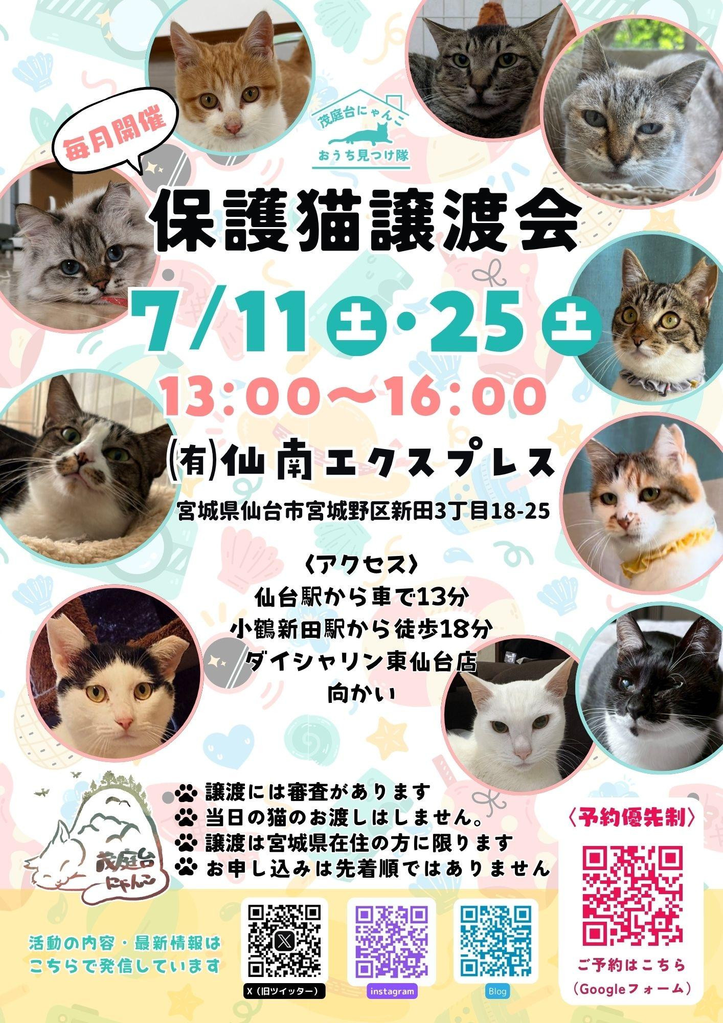 茂庭台にゃんこ・保護猫譲渡会