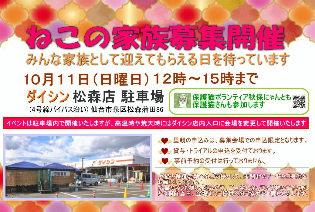 ねこの家族募集会