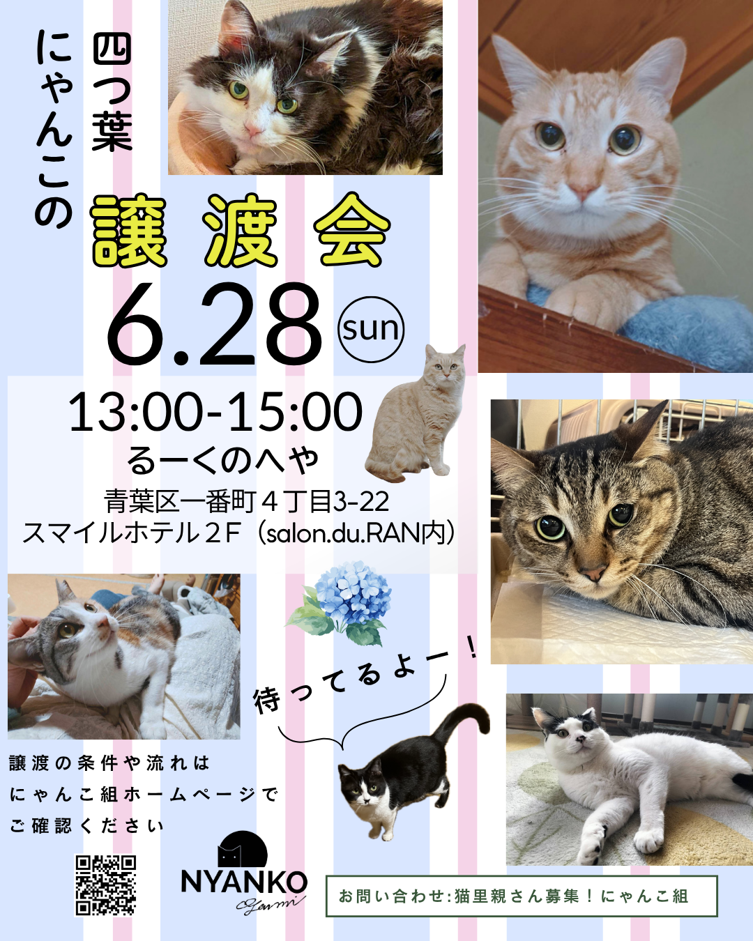 にゃんこの譲渡会