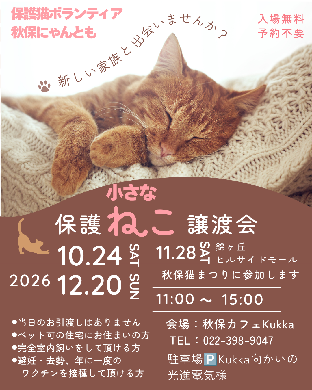小さな保護猫譲渡会