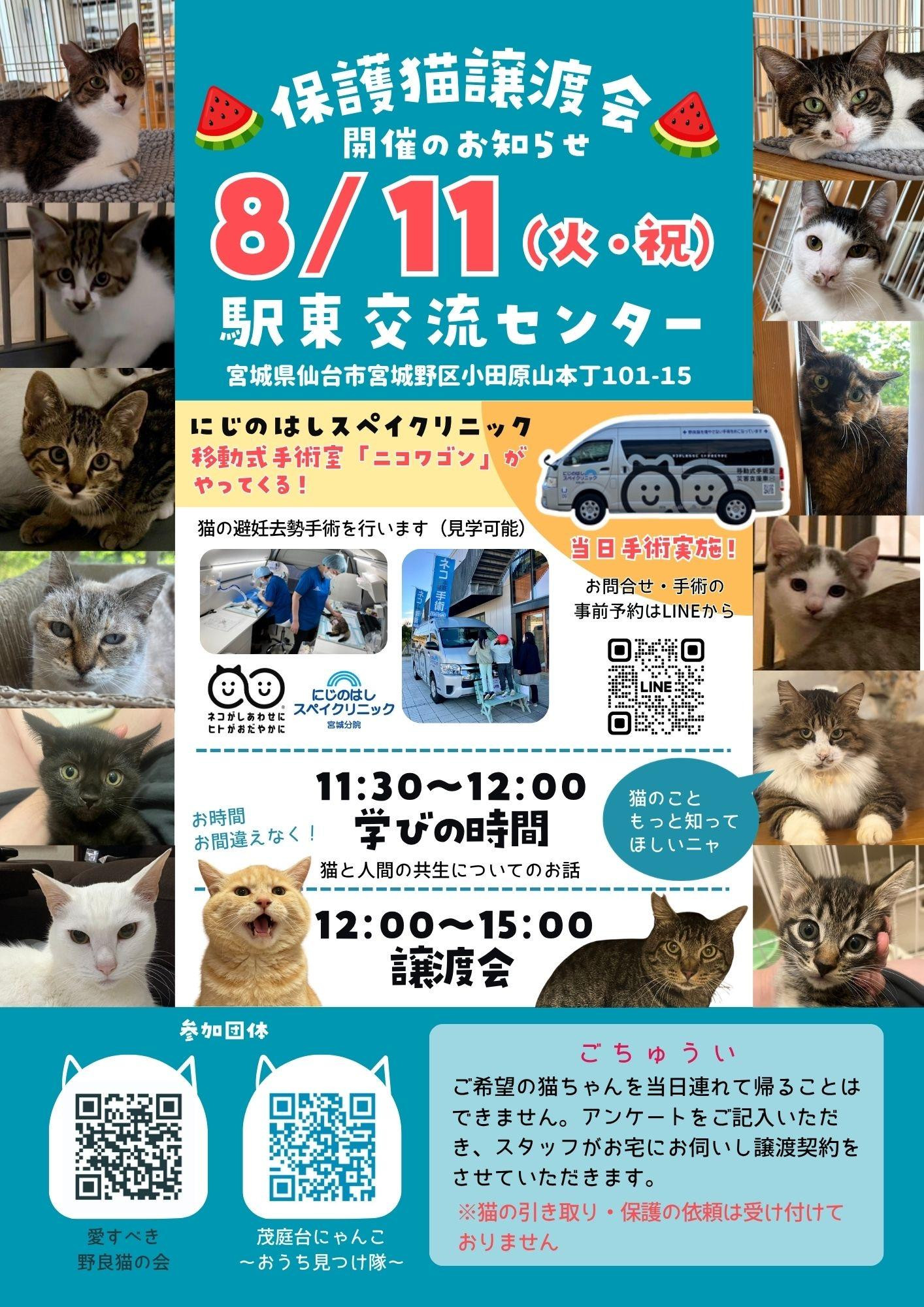 保護猫譲渡会＆学びの時間