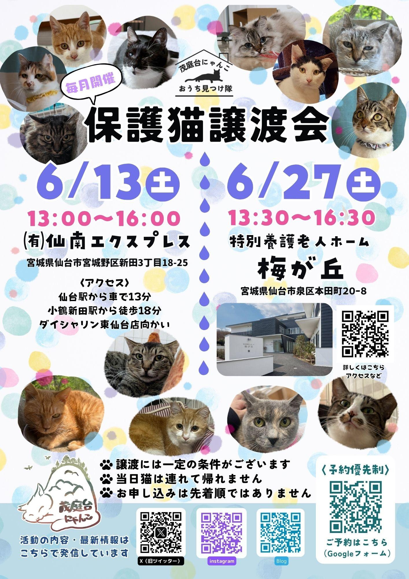 茂庭台にゃんこ・保護猫譲渡会