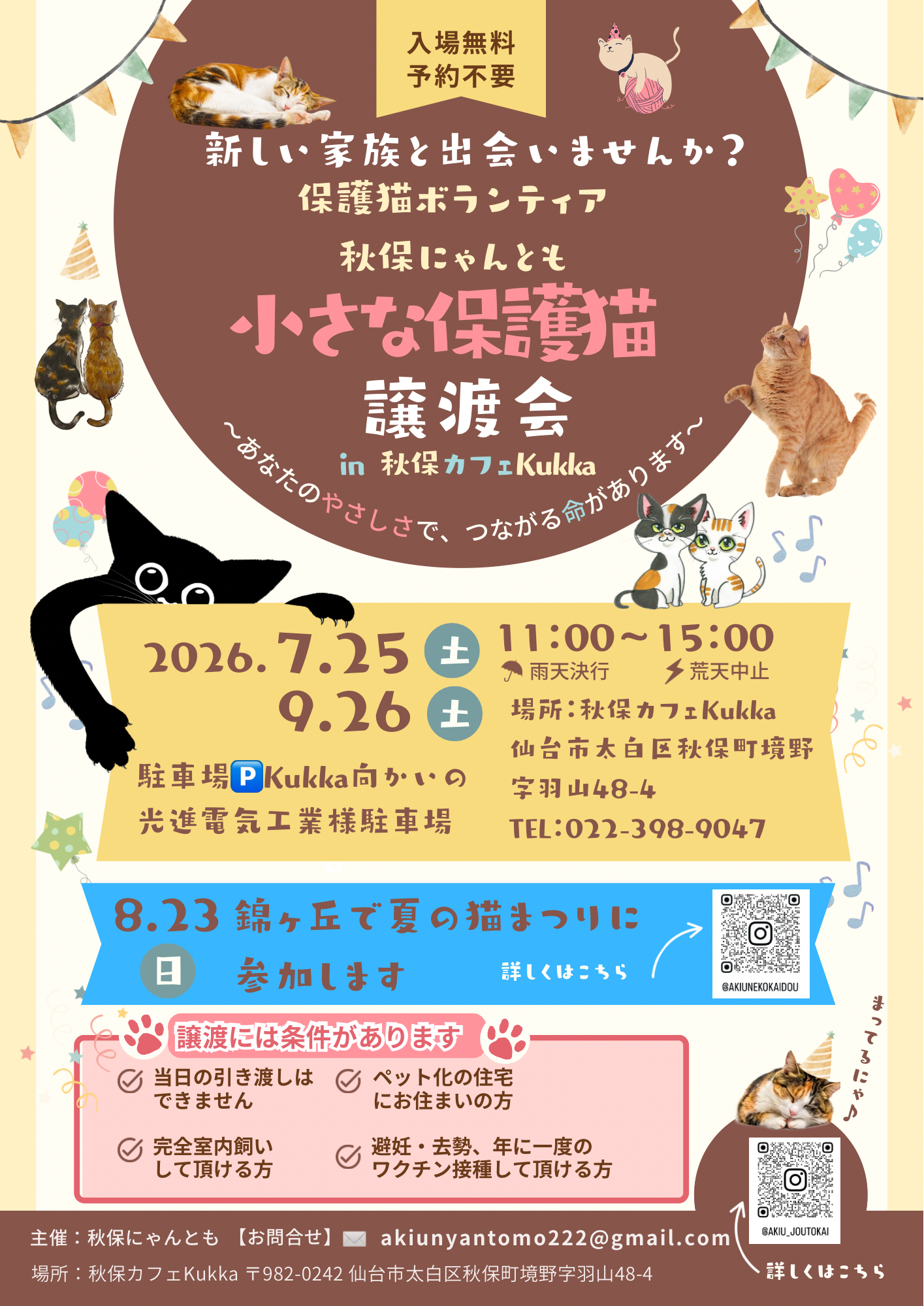 小さな保護猫譲渡会