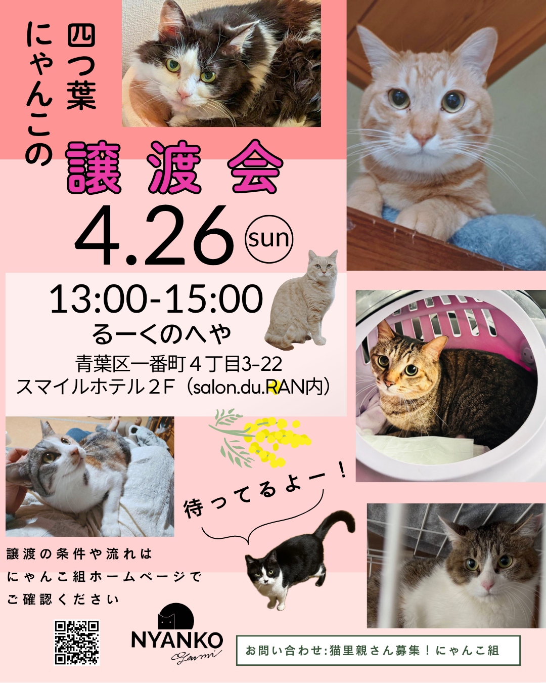 にゃんこの譲渡会