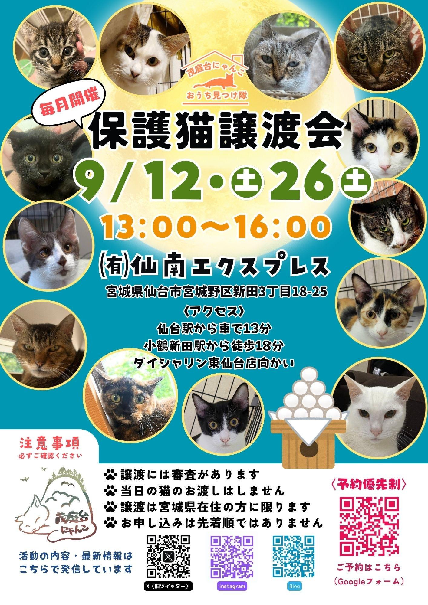 茂庭台にゃんこ・保護猫譲渡会