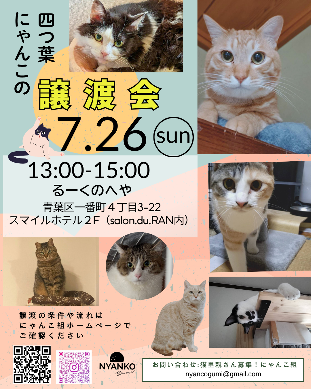 にゃんこの譲渡会
