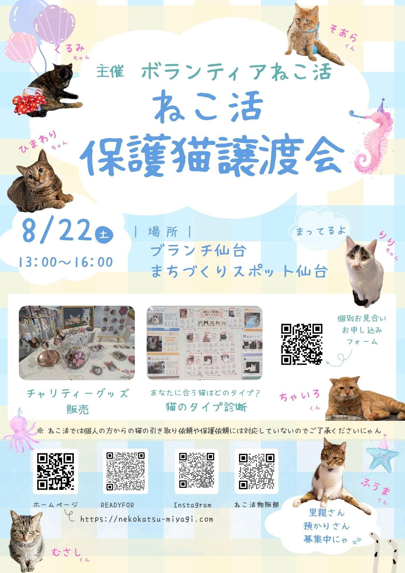 ねこ活・保護猫譲渡会