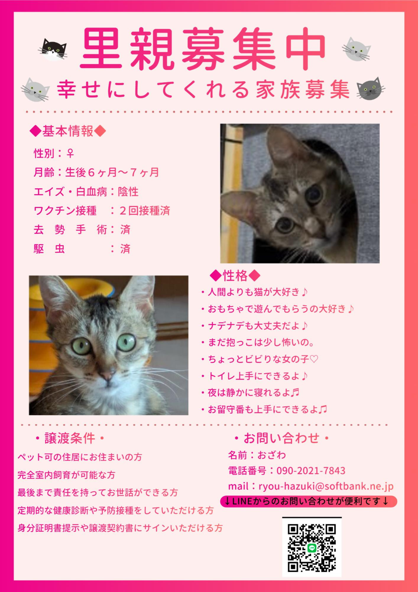 あみ